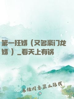 第一狂婿（又名豪门龙婿 ）